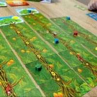 Juego de caja Papaya Monkey imagen 2