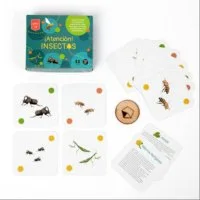 ¡Atencion insectos! imagen 2