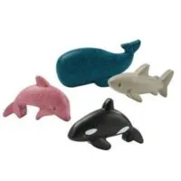 Orca imagen 2
